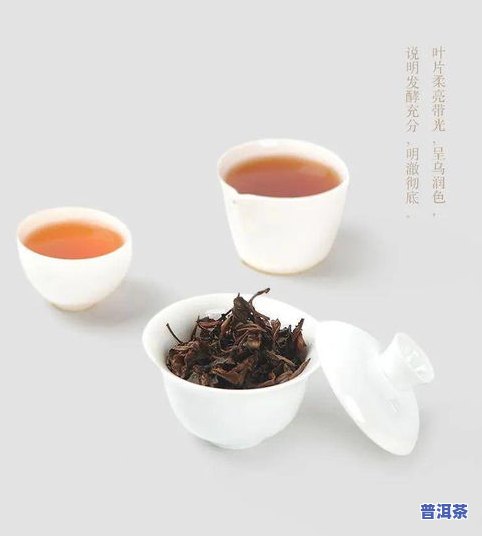 美人茶：品种、图片与简介