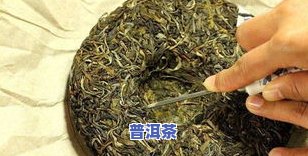 普洱茶的效果：作用、副作用与功效全面解析