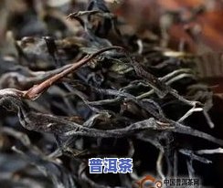 普洱茶能放多久-普洱茶能放多久,有过期吗