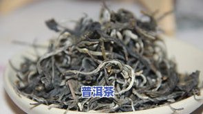 大白菜普洱茶：寻找优质生产厂家与产品信息