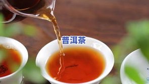 安康普洱茶-安康普洱茶(熟茶)