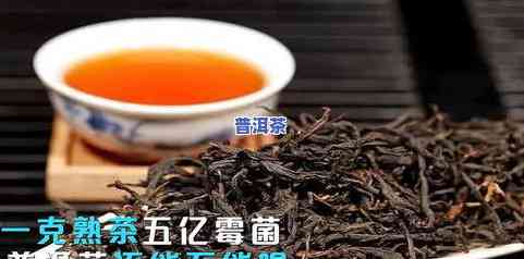 普洱茶看上去有点霉：是不是正常？能否饮用？