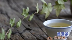 潜山普洱茶-潜山 茶叶