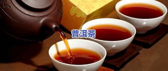 哪种普洱茶最贵更好喝？探讨其价值与口感