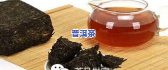 普洱茶散茶仓库-普洱茶散茶仓库图片