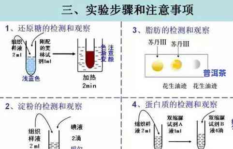 普洱茶发酵：含义、作用及原理全解析