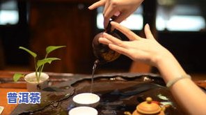 普洱茶的正确冲泡方法：比例、水温和浸泡时间的选择，以及如何使普洱茶达到更佳口感。