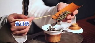 黑陶盖碗：最适合泡什么茶？详解茶叶选择与泡法