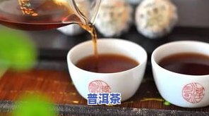 酵素普洱茶-普洱茶 酵素