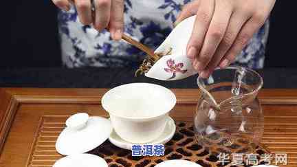 泡茶视频全过程视频讲解：茶艺师展示唯美泡茶手法与技巧