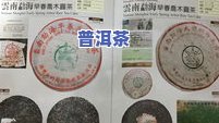 普洱茶十大名牌：权威排名榜揭晓，老班章、勐海等知名一网打尽！