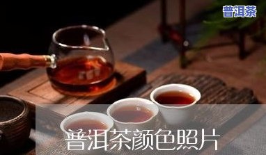 普洱茶昔归：特点、价格对比与选择指南