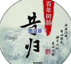 早安昔归普洱茶-普洱茶 昔归