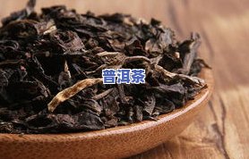 普洱茶：按季节饮用的更佳选择