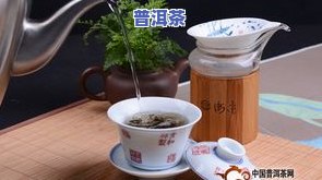 孕妇能喝普洱茶茶吗？晚期需要留意什么？