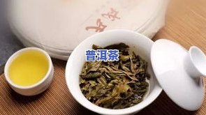 探究勐库地区普洱茶的特别特点与代表性品种