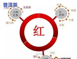 如何确定10克茶叶冲合适的水量？