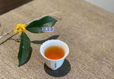 泡茶多少克茶叶合适？详解泡茶的适宜用量