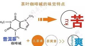 泡茶叶的更佳水温是多少？详解适合的水温范围