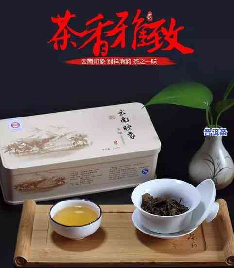 喝普洱茶有助于消化吗-喝普洱茶有助于消化吗女性