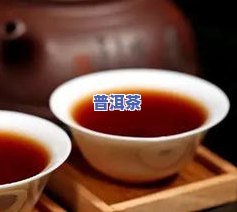 沧和茶厂沧和魂普洱茶-沧和古茶