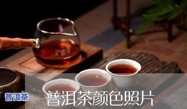 沉浸式普洱茶冲泡过程图片大全及高清视频教程