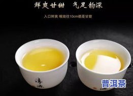 真淳雅号普洱茶-真淳雅号普洱茶96