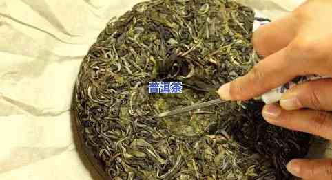 一公斤普洱茶可压多少饼？毛茶、成品价与鲜叶量的关系解析