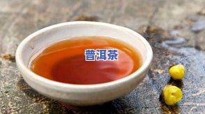 普洱茶分类肉桂-普洱茶分类肉桂和什么