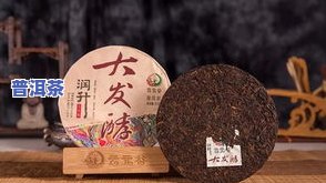 温州大益普洱茶专买店地址及联系方式全览