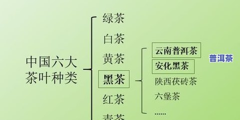 深入熟悉普洱茶发酵工艺流程：从鲜叶到熟茶的全过程及图片展示