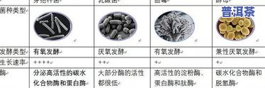 普洱茶发酵工艺菌种及其在发酵过程中的作用