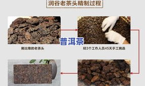 普洱茶发酵工艺流程：从鲜叶到熟茶的全过程，附详细步骤图解