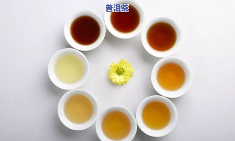 普洱茶级别顺序1-8：从1级到9级的茶叶等级详解与颜色区分