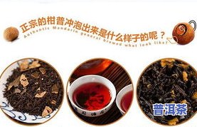 新会陈皮普洱茶多少钱一斤？功效、年份及价格全解析！