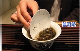 普洱茶膏怎么泡更好？详细教程与效果对比视频