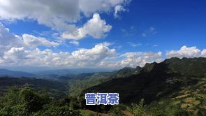 栾氏普洱茶价格南糯山-云南栾氏普洱茶价格表