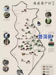 云南八大茶山是哪八山？详解云南名茶产区及其分布图