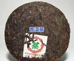 雪印普洱茶7532的价格、富华身份及1996年版的比较