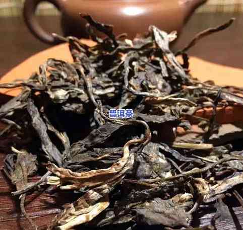 健身牌冰岛普洱茶崖子头-冰岛普洱茶山头