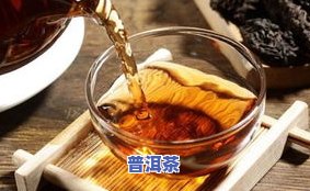 灵芝枸杞茯苓普洱茶的正确冲泡方法及综合功效