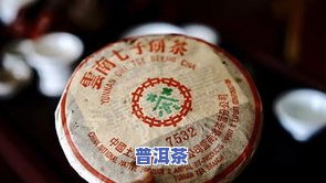 选普洱茶：全面指南，教你怎样挑选优质普洱茶