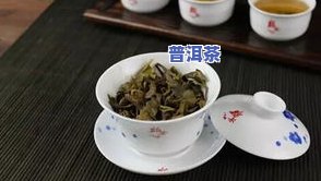 普洱茶白话-普洱茶白话怎么读