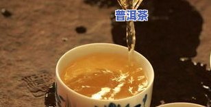 正宗普洱茶是什么样的茶？详解其特点与分类