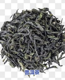 请问正宗的普洱茶是什么茶？