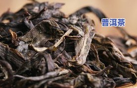 云南七子冰岛普洱茶价格：详细介绍与购买指南