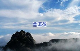 普洱茶的六大名山：揭秘排名及详细介绍