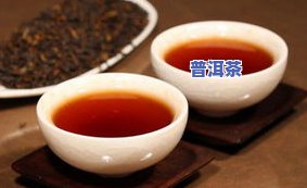 哪里的普洱茶更好？口感、价格全方位比较！