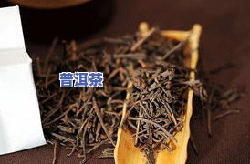 普洱茶：粗叶与细叶的区别及优劣比较