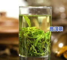 绿茶与普洱茶：去火、刮油效果比较